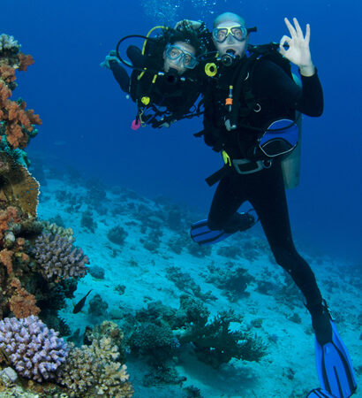 Sharm El Sheikh Private 4 Days 3 Nights – 4 Dives Package