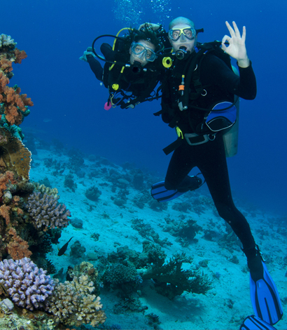Sharm El Sheikh Private 4 Days 3 Nights - 4 Dives Package