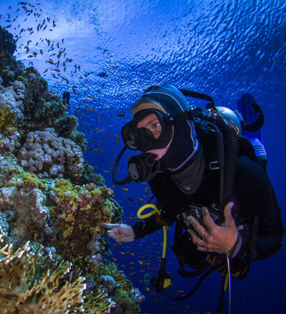 Sharm El Sheikh Private 5 Days 4 Nights – 6 Dives Package