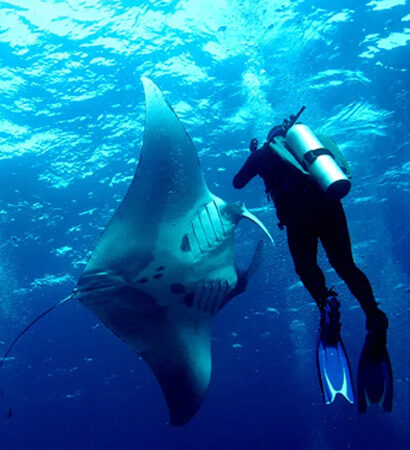 Sharm El Sheikh Private 6 Days 5 Nights - 10 Dives Package