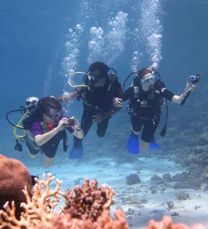 Marsa Alam Diving Extravaganza