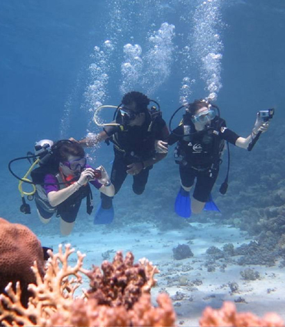 Marsa Alam Diving Extravaganza