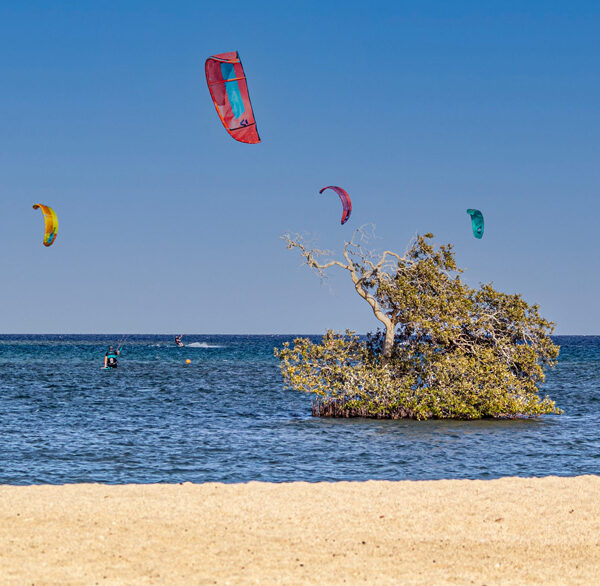 Red Sea diving packages