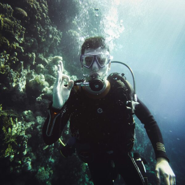 Why Sharm El Sheikh Continues to Be a Premier Diving Destination in 2026