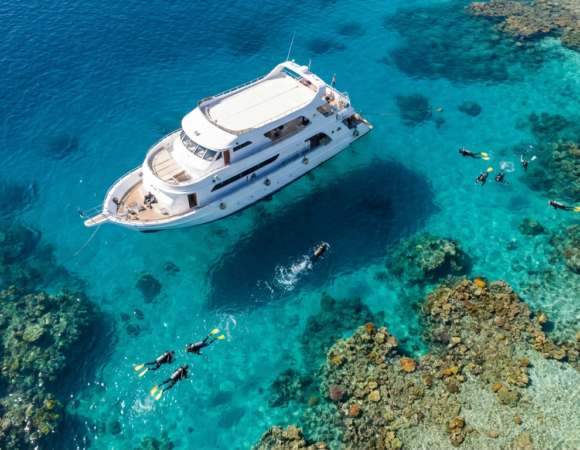 Best Red Sea Diving Packages for 2026: How to Choose (Stay, Dives & Budget)