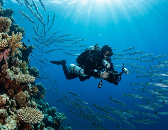 Diving Sharm El Sheikh: Ras Mohammed, Thistlegorm & the Straits of Tiran