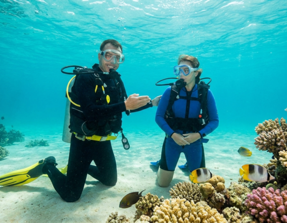 Learn to Dive in Egypt: PADI Courses on the Red Sea