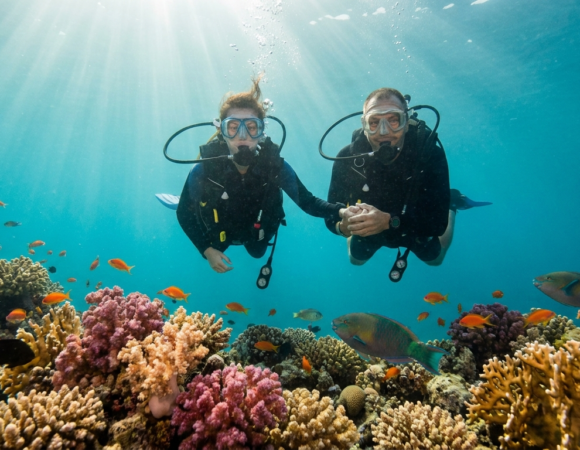Tauchen im Roten Meer für Anfänger: Der komplette Leitfaden für die erste Reise
