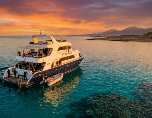 The Ultimate Guide to Red Sea Liveaboard Routes