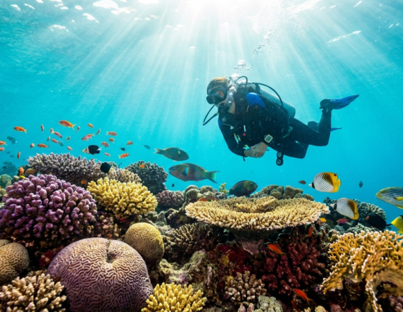 St. John's Reef: Der ultimative Reiseführer zu Ägyptens Korallenwunderland